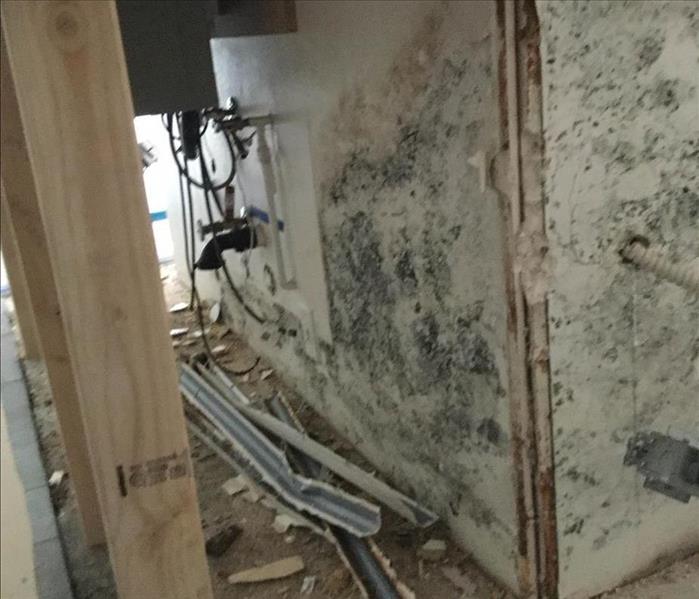 mold growing on sheetrock in laguna beach kitchen under the island