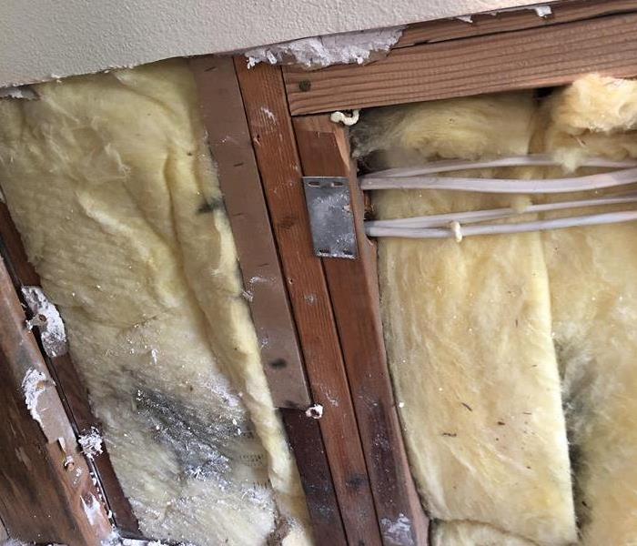 exposed interior wall with mold growing in the framing as well as the insulation