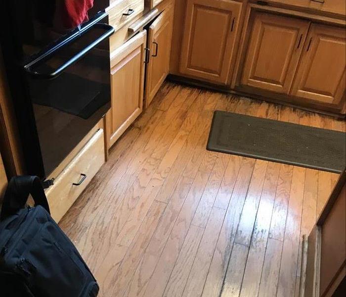 wood flooring in a kitchen with mold forming