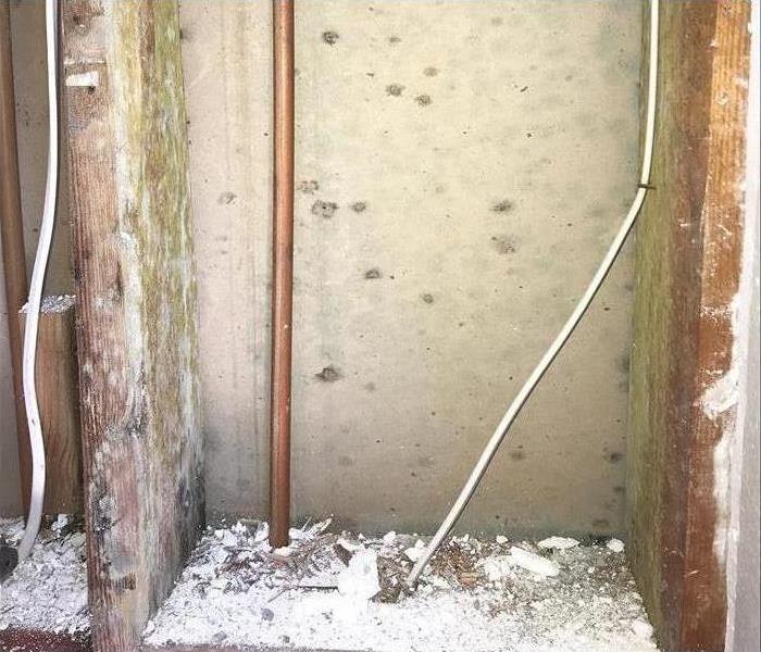 Inside of a wall space, pipe line, mold growth on wall